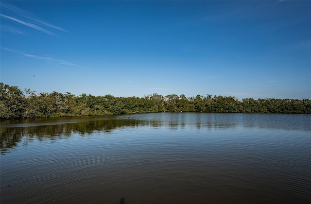 3627 Grayton Dr, New Port Richey, FL 34652 - photo 57