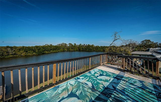 3627 Grayton Dr, New Port Richey, FL 34652 - photo 59