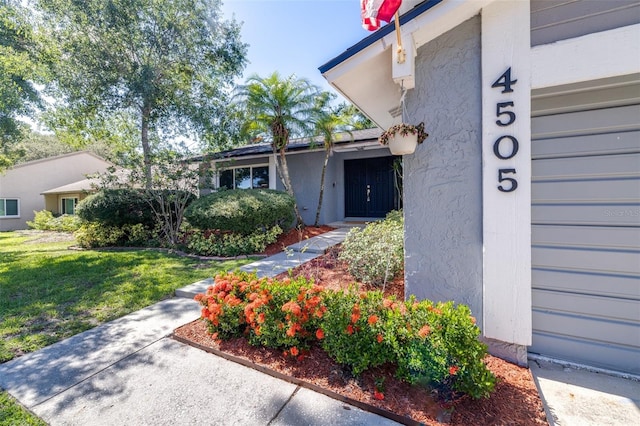 4505 Old Saybrook Ave, Tampa, FL 33624 - photo 4