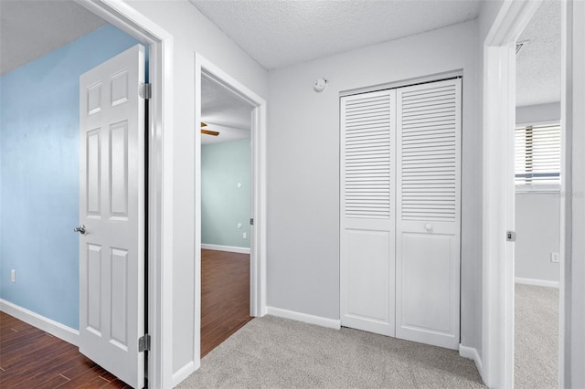 4505 Old Saybrook Ave, Tampa, FL 33624 - photo 27
