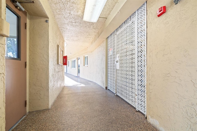 8950 Park Blvd Unit 609, Largo, FL 33777 - photo 6