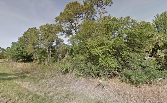 Kamain Rd, North Port, FL 34288 - photo 3