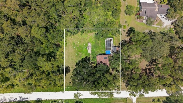 8541 Fussell Dr, Wesley Chapel, FL 33545 - photo 4