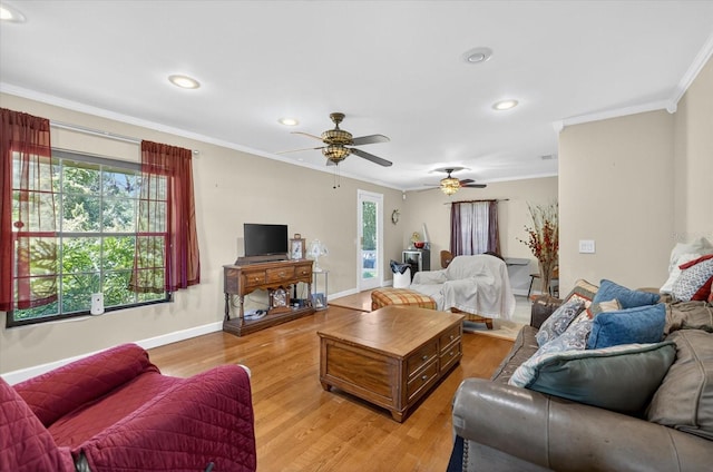 8541 Fussell Dr, Wesley Chapel, FL 33545 - photo 14
