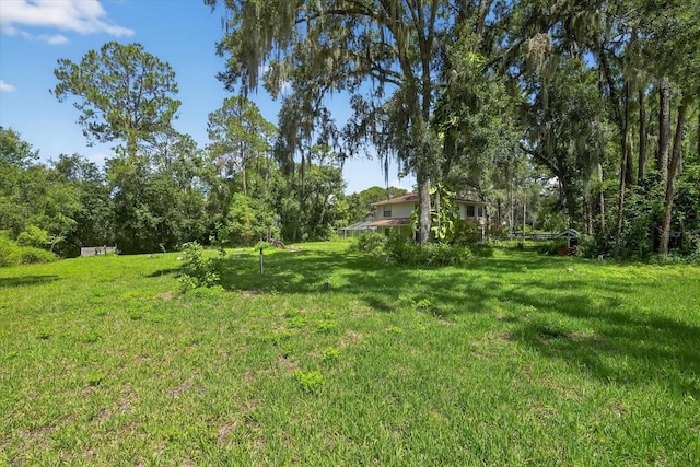 8541 Fussell Dr, Wesley Chapel, FL 33545 - photo 37