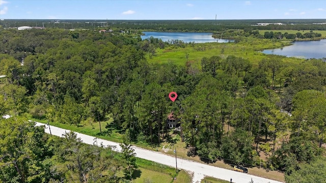 8541 Fussell Dr, Wesley Chapel, FL 33545 - photo 39