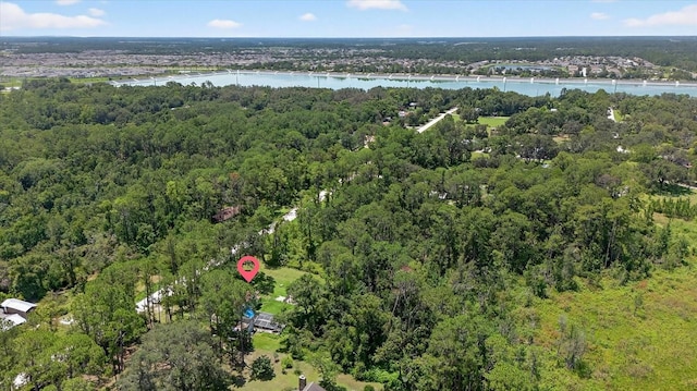 8541 Fussell Dr, Wesley Chapel, FL 33545 - photo 43