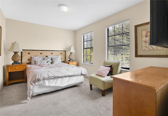 1037 Cypress Pointe Blvd, Davenport, FL 33896 - view of carpeted bedroom