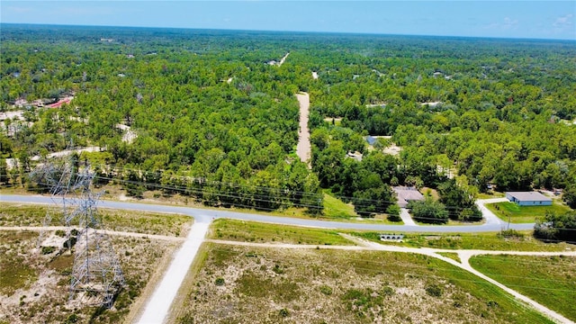 13485 Resort Ave, Weeki Wachee, FL 34614 - photo 36