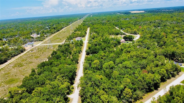 13485 Resort Ave, Weeki Wachee, FL 34614 - photo 37