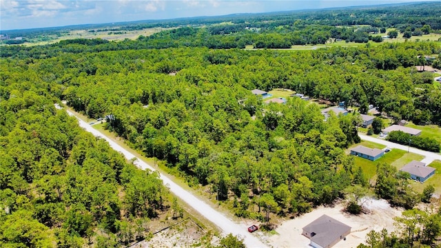 13485 Resort Ave, Weeki Wachee, FL 34614 - photo 38
