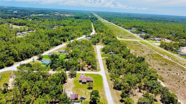 13485 Resort Ave, Weeki Wachee, FL 34614 - photo 39