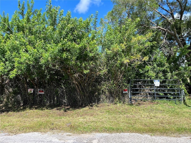 5427 Van Doren Ave, New Port Richey, FL 34652 - photo 2