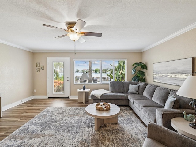 10265 Gulf Blvd Unit A107, Saint Petersburg, FL 33706 - living room featuring wood finished floors, crown molding, ceiling fan, and a textured ceiling