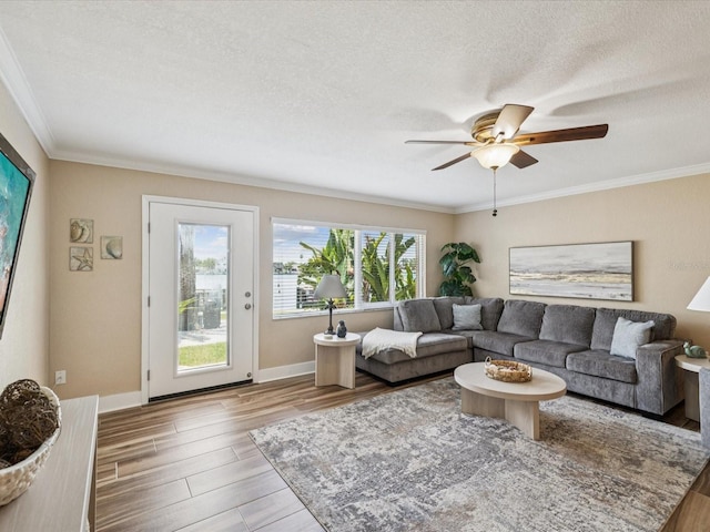 10265 Gulf Blvd Unit A107, Saint Petersburg, FL 33706 - living room with wood finished floors, ceiling fan, ornamental molding, and a textured ceiling