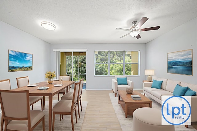 8118 Stone Path Way, Tampa, FL 33647 - living room featuring light wood-style flooring, ceiling fan, and a textured ceiling