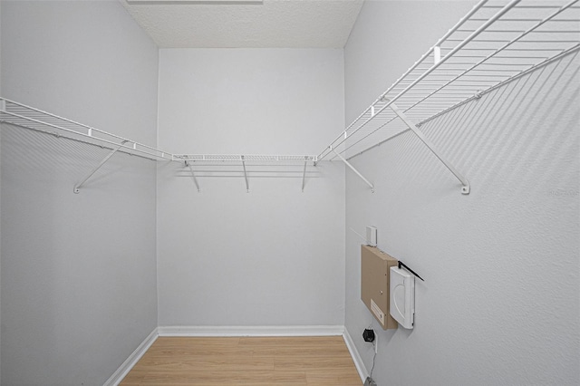 8118 Stone Path Way, Tampa, FL 33647 - spacious closet featuring light wood-type flooring