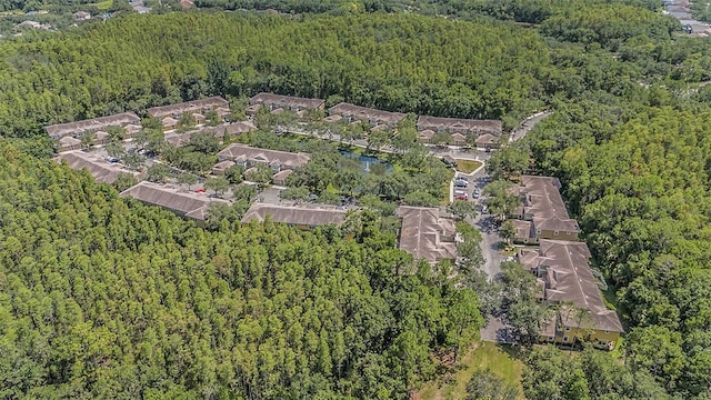 8118 Stone Path Way, Tampa, FL 33647 - aerial view of property's location featuring a heavily wooded area