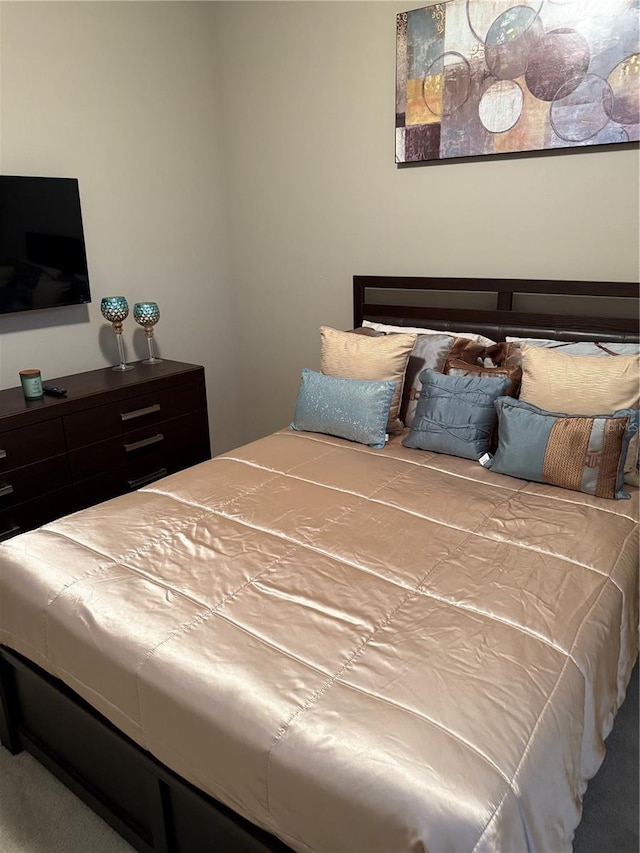 4432 Vermillion Sky Dr, Wesley Chapel, FL 33544 - view of bedroom
