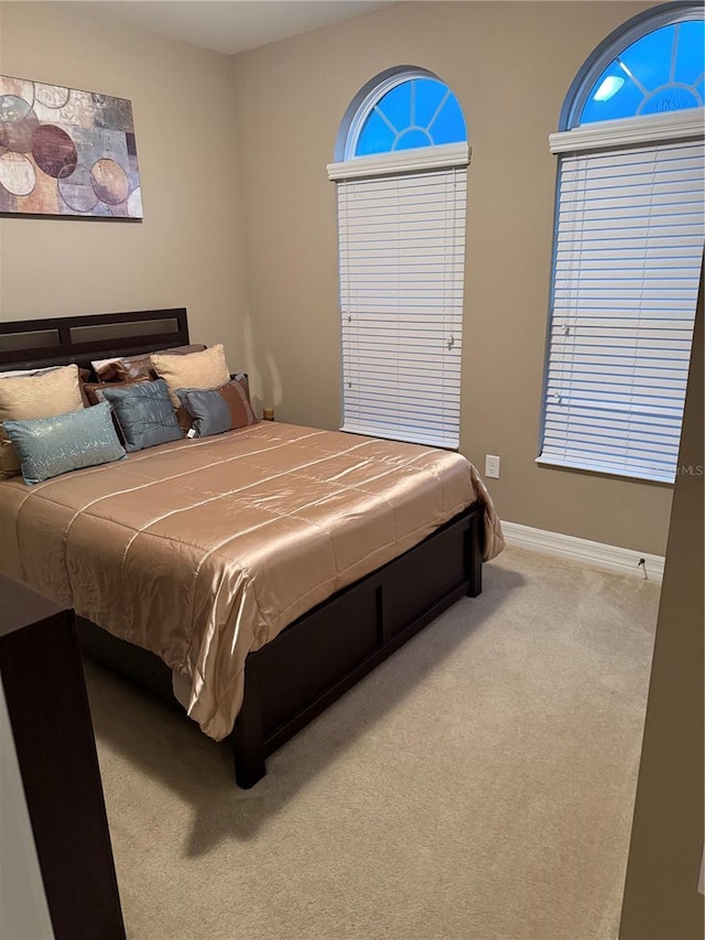 4432 Vermillion Sky Dr, Wesley Chapel, FL 33544 - carpeted bedroom with baseboards