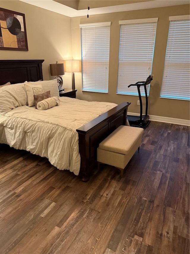 4432 Vermillion Sky Dr, Wesley Chapel, FL 33544 - bedroom featuring dark wood-style floors and baseboards