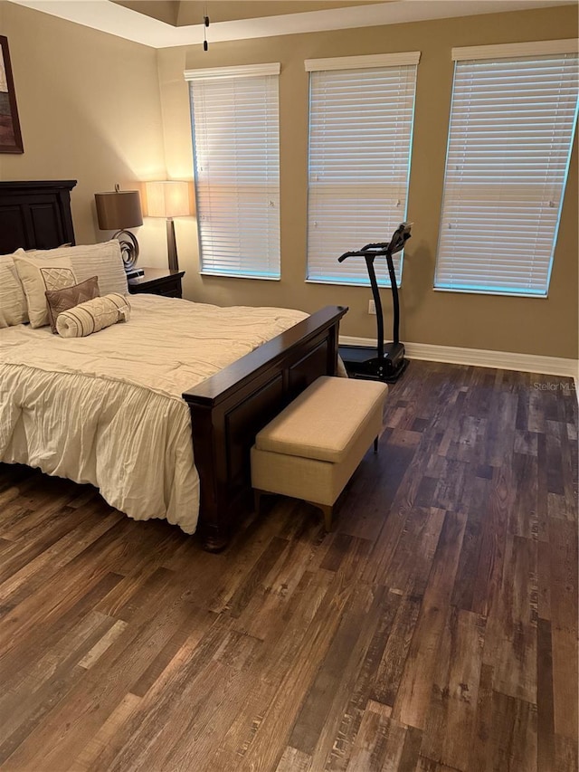 4432 Vermillion Sky Dr, Wesley Chapel, FL 33544 - bedroom with dark wood-style flooring