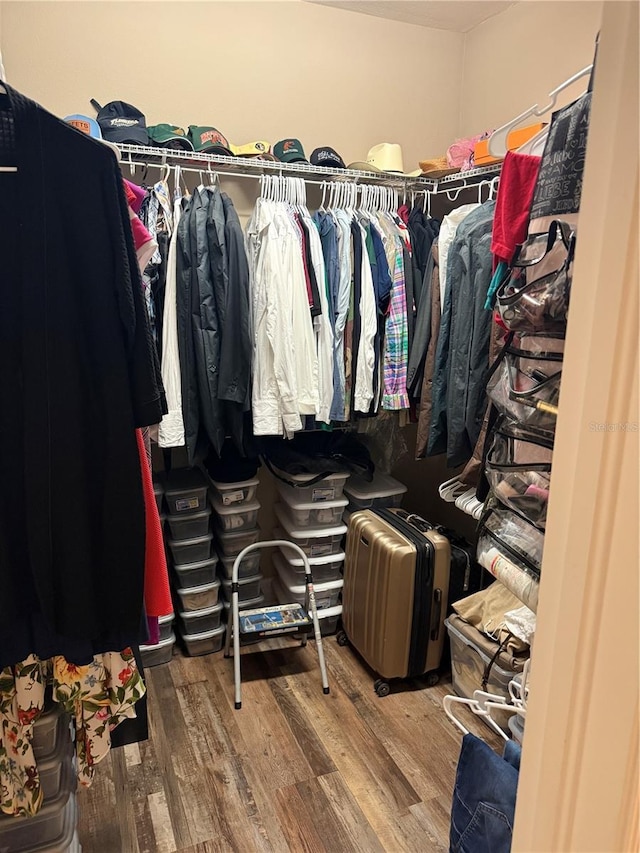 4432 Vermillion Sky Dr, Wesley Chapel, FL 33544 - spacious closet featuring wood finished floors