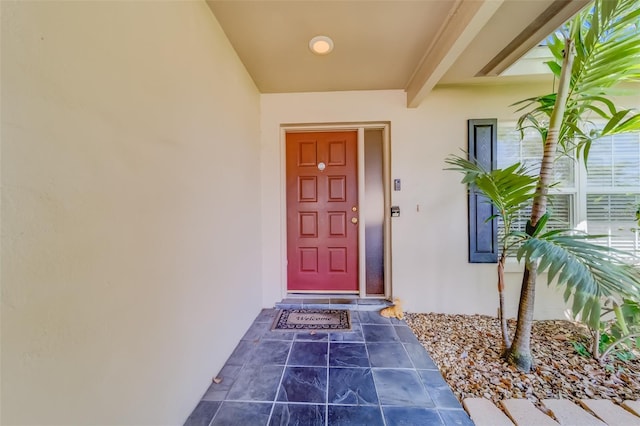 1609 Summit Way, Dunedin, FL 34698 - photo 4