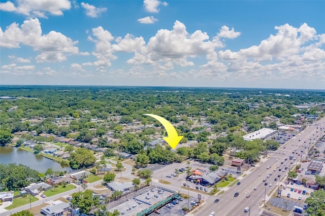 1609 Summit Way, Dunedin, FL 34698 - photo 72