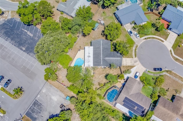 1609 Summit Way, Dunedin, FL 34698 - photo 75
