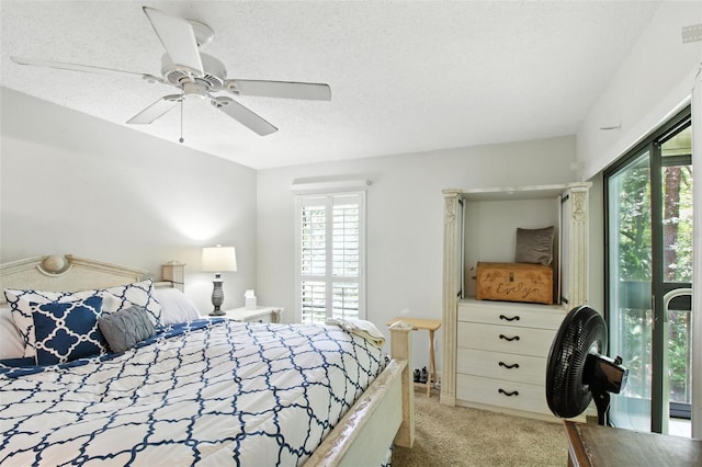 1801 E Lake Rd Unit 2F, Palm Harbor, FL 34685 - photo 11
