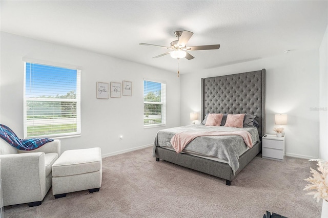 5972 Shiner St, Land O Lakes, FL 34638 - photo 17
