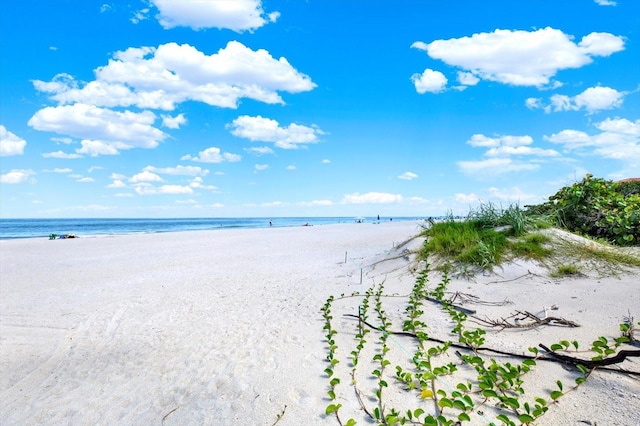 812 E Gulf Blvd Unit 1, 2, 3, 4, 5, 6, 7, Indian Rocks Beach, FL 33785 - photo 25