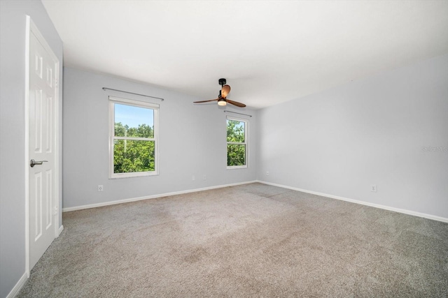3742 Grantham Ct, Palm Harbor, FL 34684 - photo 25