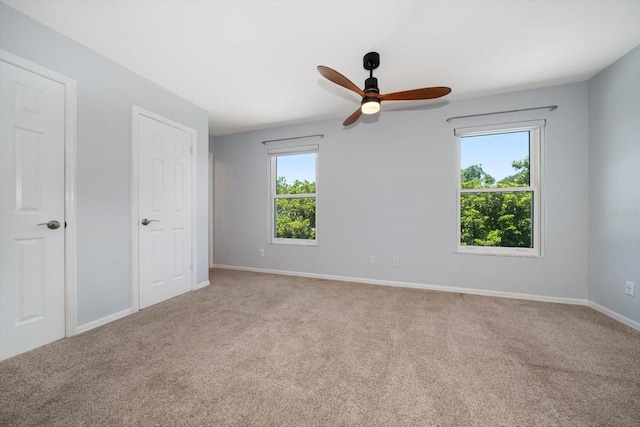 3742 Grantham Ct, Palm Harbor, FL 34684 - photo 26