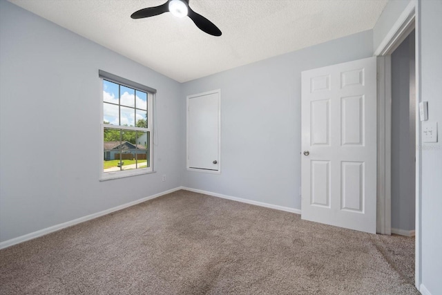 3742 Grantham Ct, Palm Harbor, FL 34684 - photo 31