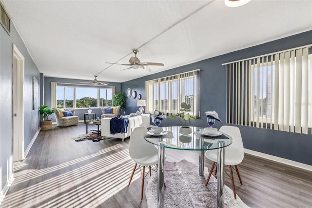 8950 Park Blvd Unit 405, Seminole, FL 33777 - photo 4