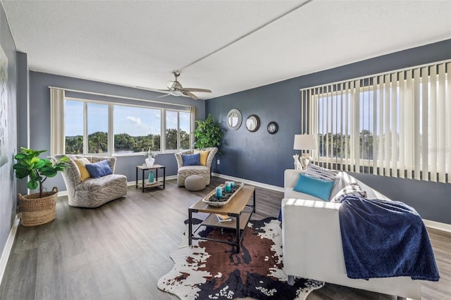 8950 Park Blvd Unit 405, Seminole, FL 33777 - photo 5