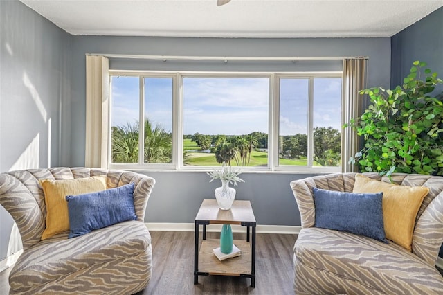 8950 Park Blvd Unit 405, Seminole, FL 33777 - photo 8