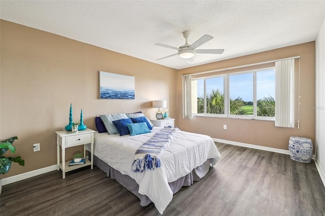 8950 Park Blvd Unit 405, Seminole, FL 33777 - photo 29