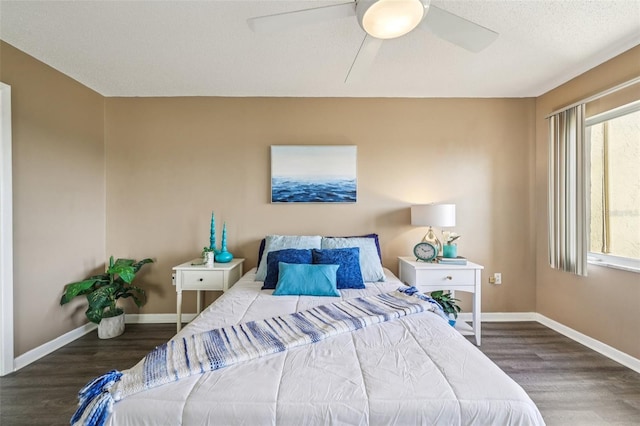 8950 Park Blvd Unit 405, Seminole, FL 33777 - photo 30