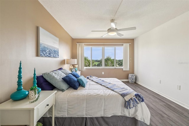 8950 Park Blvd Unit 405, Seminole, FL 33777 - photo 33