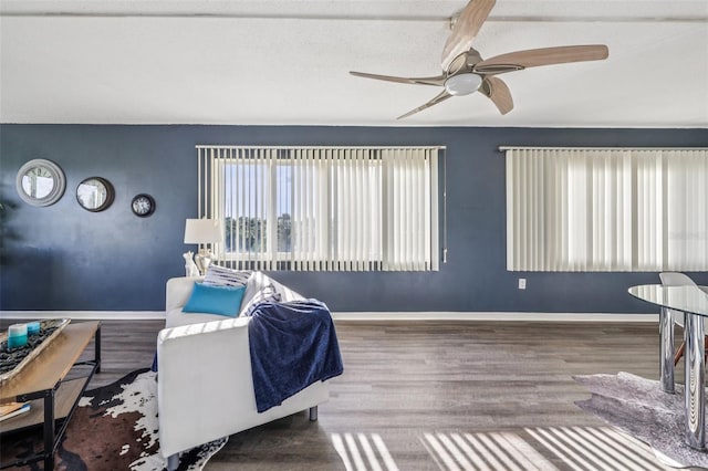 8950 Park Blvd Unit 405, Seminole, FL 33777 - photo 34