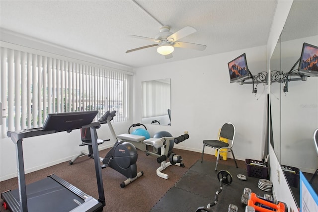 8950 Park Blvd Unit 405, Seminole, FL 33777 - photo 48