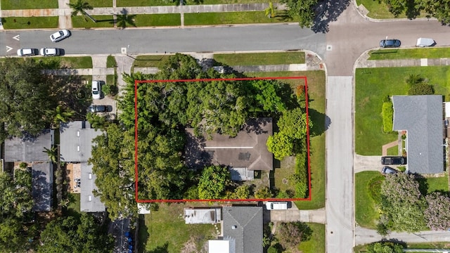 655 42nd Ave N, Saint Petersburg, FL 33703 - photo 6