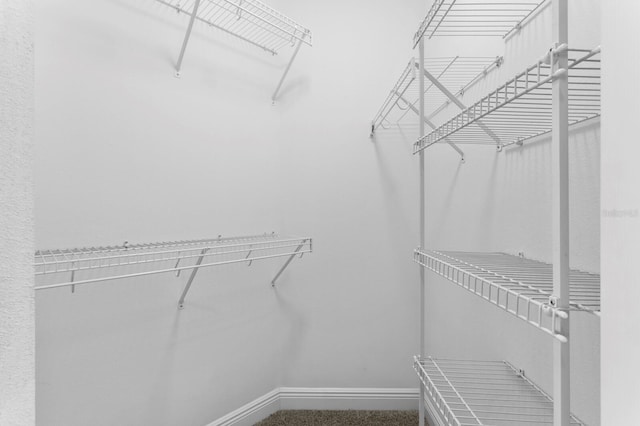 17735 Gulf Blvd Unit 502, Redington Shores, FL 33708 - view of spacious closet