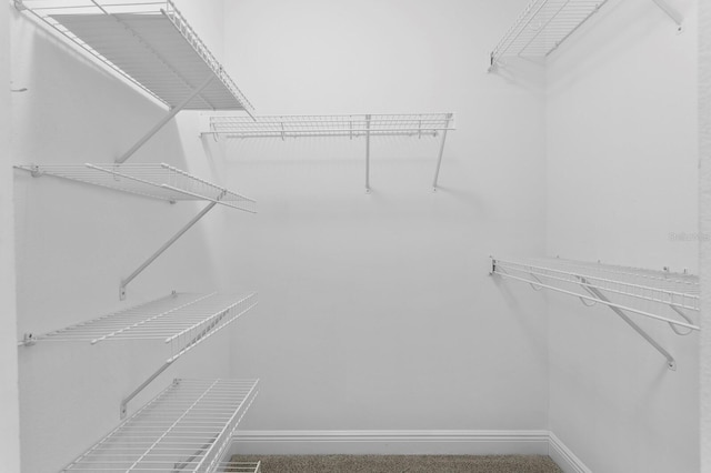 17735 Gulf Blvd Unit 502, Redington Shores, FL 33708 - view of walk in closet