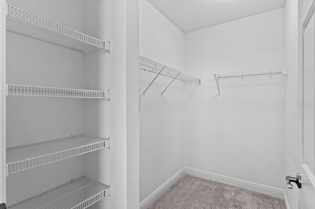 17735 Gulf Blvd Unit 502, Redington Shores, FL 33708 - walk in closet with carpet flooring
