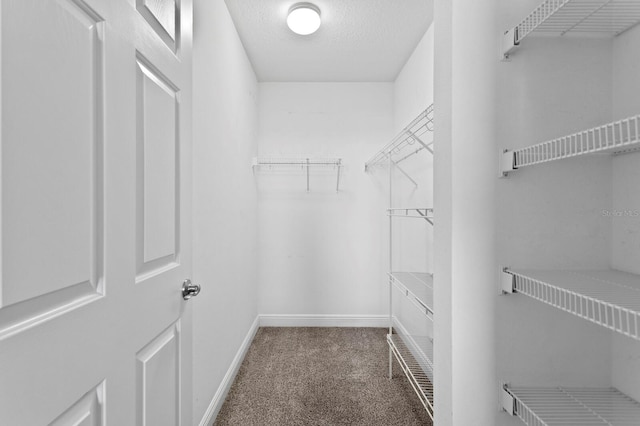 17735 Gulf Blvd Unit 502, Redington Shores, FL 33708 - spacious closet featuring carpet floors