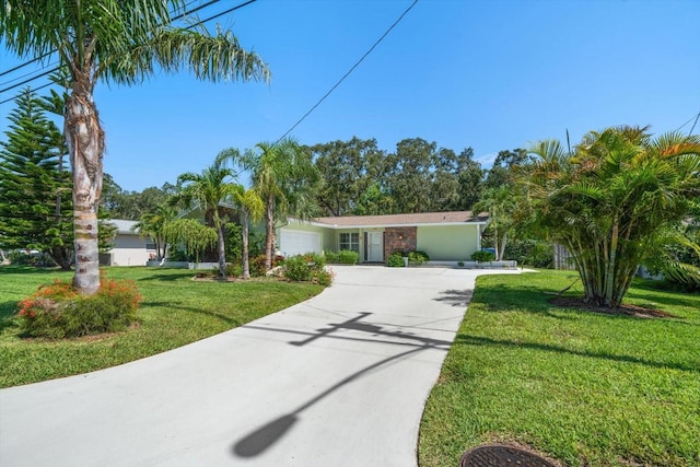 1468 Fairway Dr, Dunedin, FL 34698 - photo 54